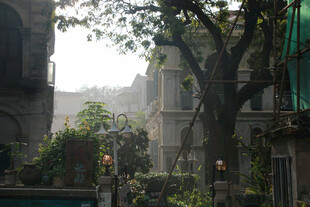 鼓浪屿老旧街道旁的绿植与建筑