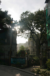 阳光洒落绿树环绕的街道 鼓浪屿