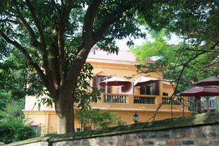 厦门鼓浪屿 树下的古朴建筑