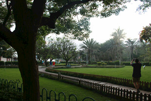 厦门公园绿意景观 