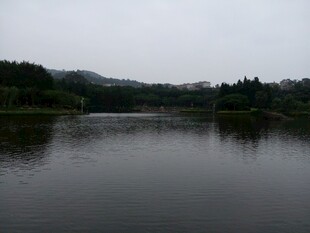 宁静湖泊与周边葱郁树林 厦门