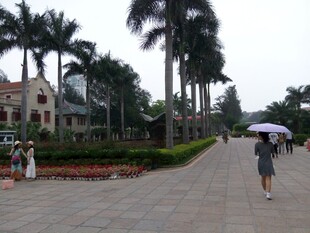 漫步林荫道的撑伞行人 厦门