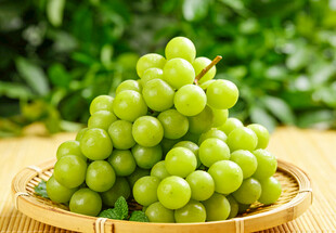 竹篮里的阳光玫瑰