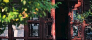 古朴建筑旁的绿植景致