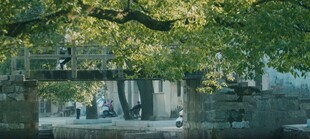 秋日湖畔繁茂树木景观