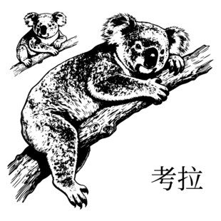 树上的考拉
