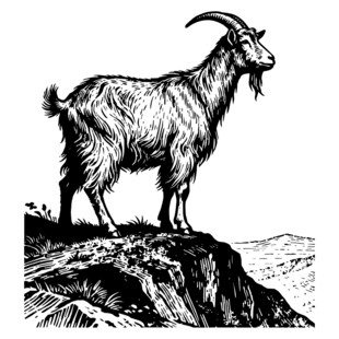 山羊立于山巅