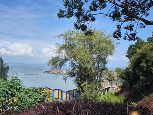 海边绿荫下的多彩小屋