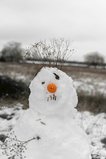 田野中的可爱小雪人