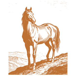 站立于山丘的俊逸骏马