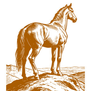 站立于岩石上的俊逸骏马