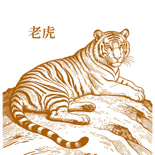 手绘老虎图