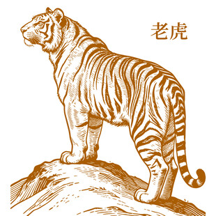 站立于石上的威严老虎