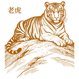 老虎线描图