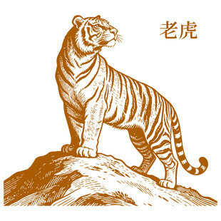 山巅之上的威严老虎