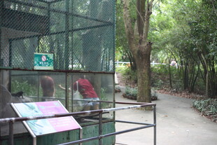 户外透明展柜展示场景