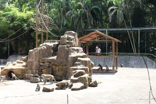 动物园内的动物雕塑景观