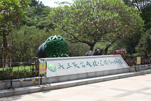 茂名森林公园 入口景观