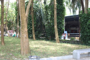 林间休闲处静谧好风光