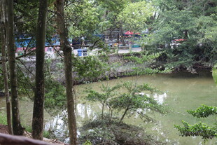 林间静谧池塘景观