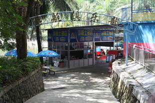 街边小店绿树环绕的场景