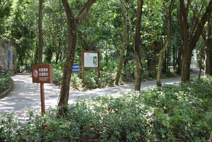 林间小径旁的指示牌