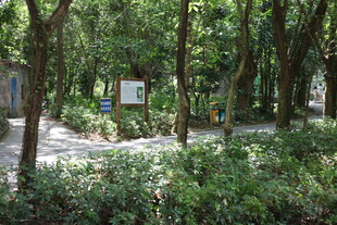 林间小道旁的绿植与标识牌