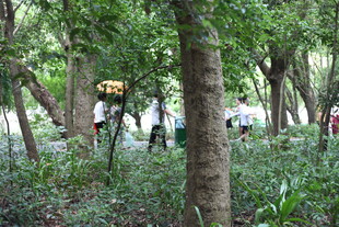 森林中的户外探险活动