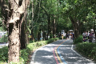 林间彩色步道惬意漫步处