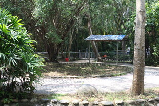 林间休闲小亭景观