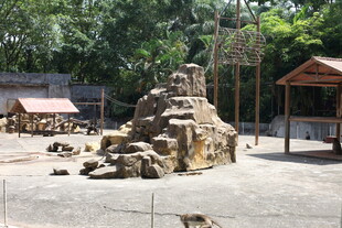 动物园猴区假山景观