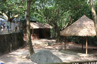 乡村茅草屋景观