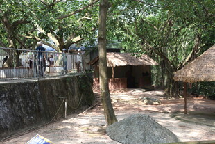 乡村林间小屋场景