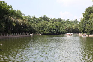 湖畔绿树环绕的宁静水域