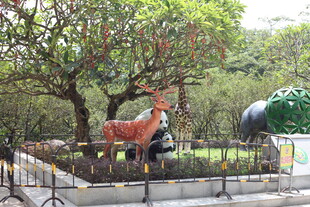 公园中的动物雕塑景观