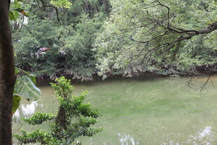 林间绿水畔的自然景致