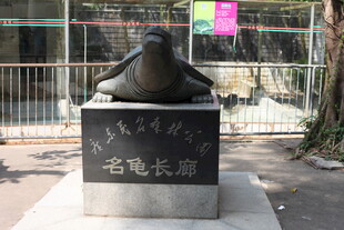 茂名森林公园 雕像