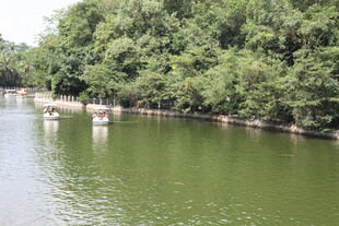 河畔绿树环绕的宁静水域