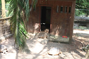 林间小屋静谧自然一角