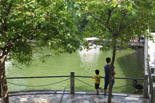 湖畔亲子赏景时刻