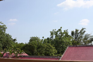 屋顶视角下的绿树蓝天