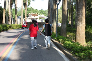 校园小路两人并肩漫步