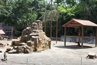 动物园内的岩石景观与凉亭