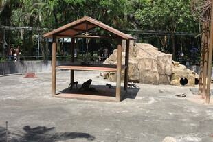 户外木质凉亭与周边景观