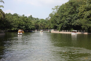 河上泛舟赏两岸葱郁景色