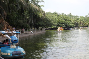 河上泛舟赏两岸葱郁景色