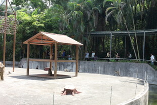 户外凉亭旁的休闲场景