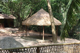 热带丛林中的茅草休憩亭