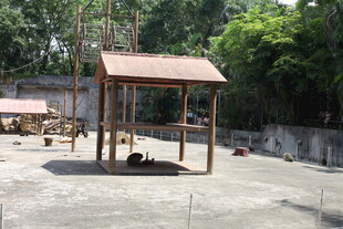 户外木质凉亭施工现场