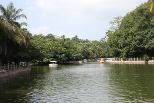 河畔绿树环绕的宁静水域